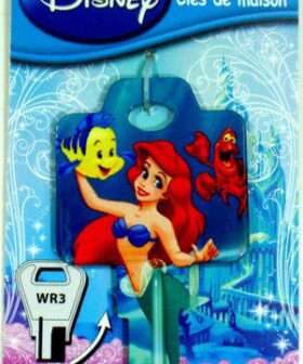 DISNEY NØGLER 5D